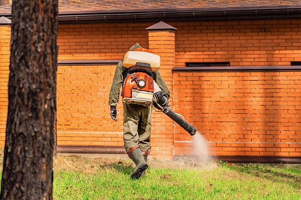 Bed Bug Clearance Verification and Documentation in Cool Valley